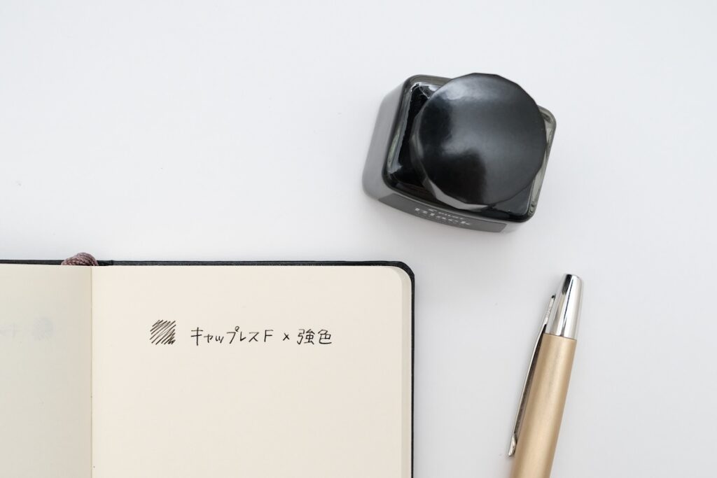パイロット万年筆顔料インク「強色」でノートに書いた様子