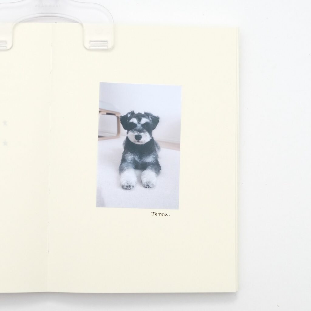 開いたノートに犬の写真が貼られている様子