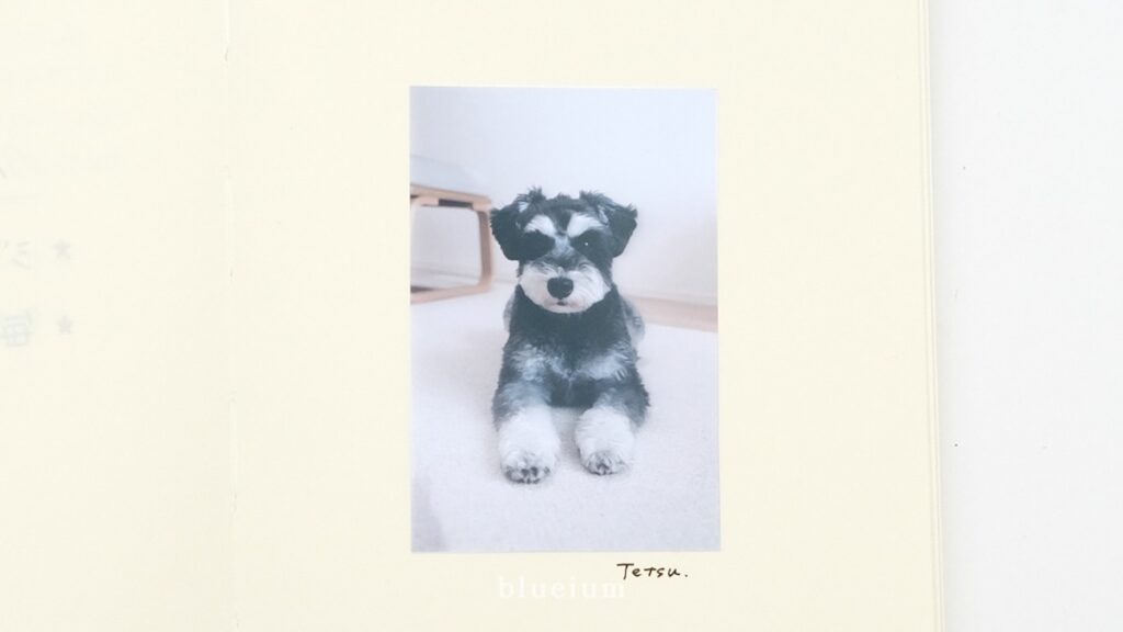 ノートに貼られた写真