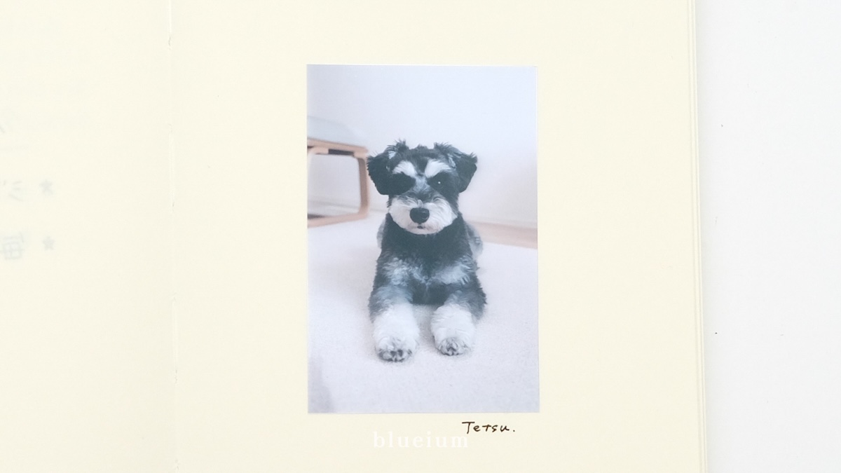 ノートに貼られた写真